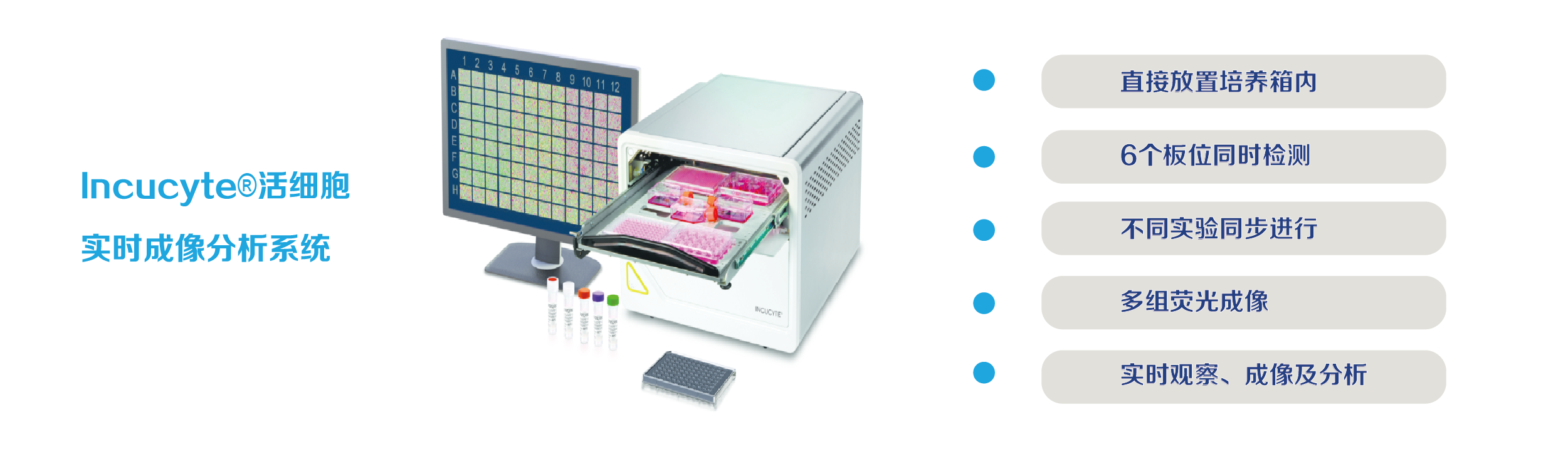 活细胞实时成像分析系统